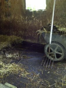 The Beginning Farmer: Old-fashioned Farming With Muscle and Time Image